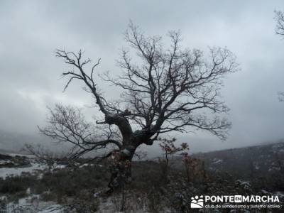 Circo de la Puebla. Sierra del Rincón;tiendas senderismo;sendero verde